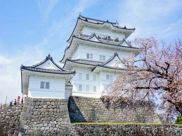 小田原で子供と楽しむスポット5選！地元民おすすめのスポットをご紹介♪の画像