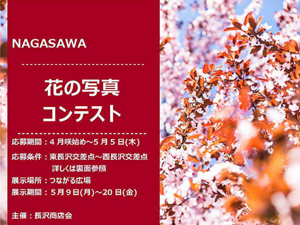 長沢商店会「花の写真コンテスト」の画像