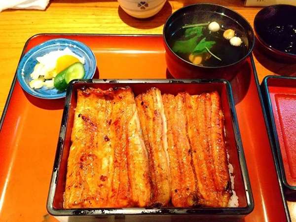 かわいく泳ぎ回るうなぎを見られる鰻やさんの画像