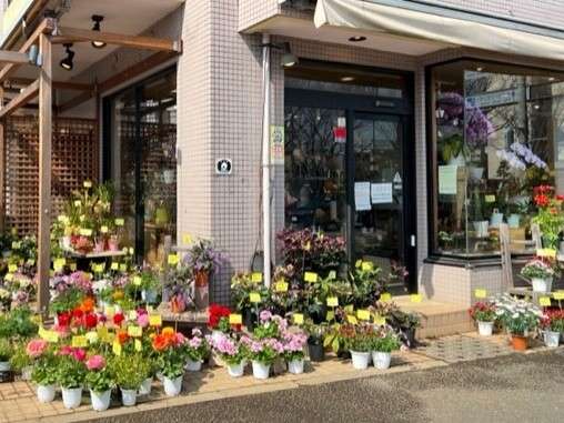 新百合ヶ丘駅近くで花の苗を買うなら「まきば」で！