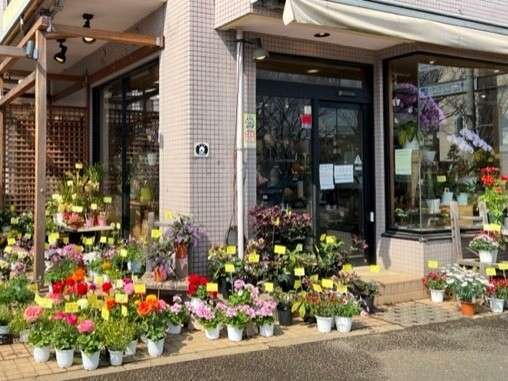 新百合ヶ丘駅近くで花の苗を買うなら「まきば」で！の画像