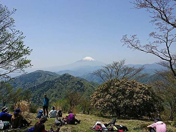 春の丹沢〜の画像