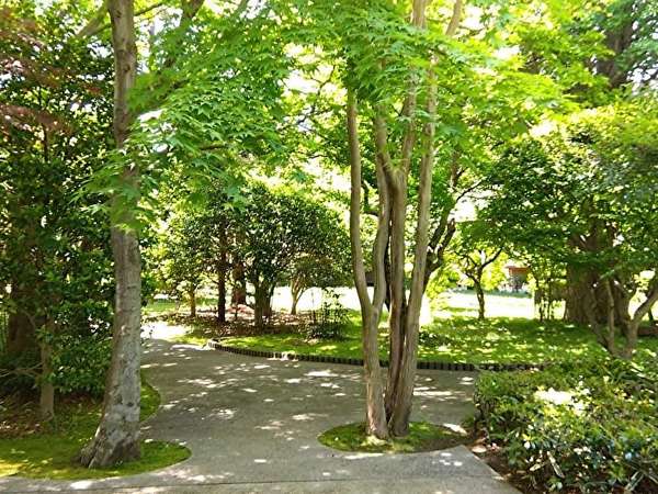喧騒を離れた緑溢れる癒やしの空間の画像