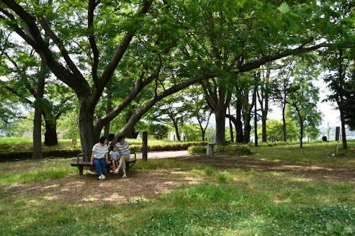 豊かな緑が広がる！安心・安全に遊べる「ぼうさいの丘公園」の魅力をお届けの画像