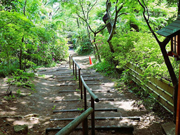 東京にこんなオアシスが!?緑豊かな東京23区内唯一の「等々力渓谷」の画像