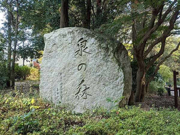 女流作家　小説の舞台の画像