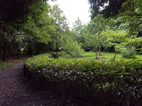 ホタル公園の画像