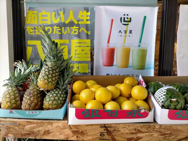 九百屋旬世の画像
