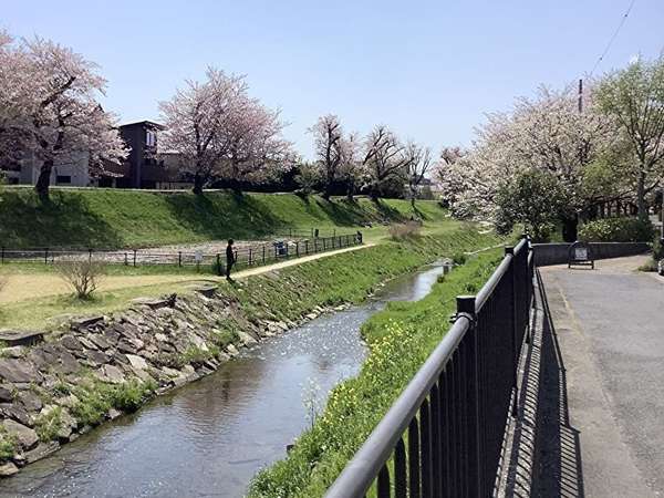 県立相模三川公園の画像