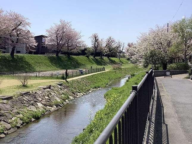 県立相模三川公園