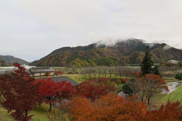 宮ケ瀬はダムだけじゃない！紅葉も楽しめる宮ケ瀬湖畔の魅力をご紹介！の画像