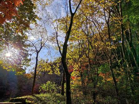 運動や自然観察もできる！都心からのアクセス抜群の小山田緑地をご紹介！