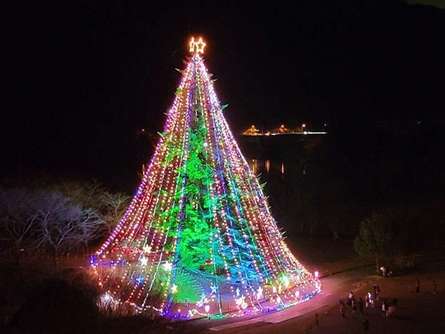 圧巻のジャンボクリスマスツリー！「宮ケ瀬湖畔園地・水の郷地域」