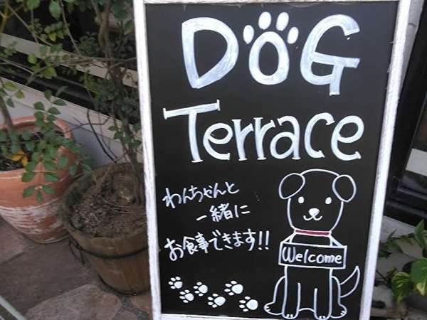 テラスはペットと一緒に食事できます！マカロニ市場！の画像