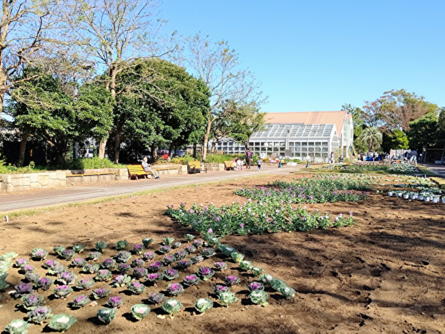キレイな花や緑に囲まれてのんびりできる！「長久保公園都市緑化植物園」