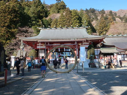 山登り、気合を入れず途中まで