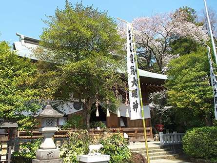 1万年以上の歴史！縄文時代から続く「三之宮比々多神社」の魅力をご紹介