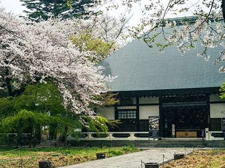 招き猫でも有名！彦根藩主井伊家の菩提寺「豪徳寺」の見どころをご紹介