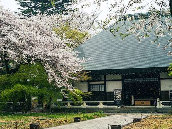 招き猫でも有名！彦根藩主井伊家の菩提寺「豪徳寺」の見どころをご紹介の画像