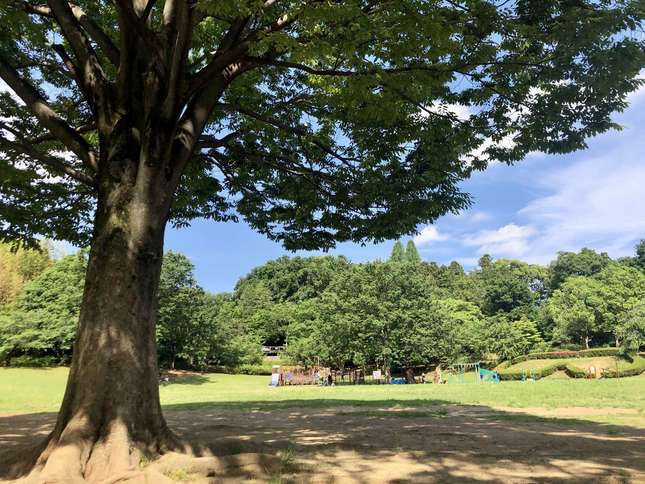 自然の中でのびのび遊べる！「王禅寺ふるさと公園」の楽しみ方をご紹介