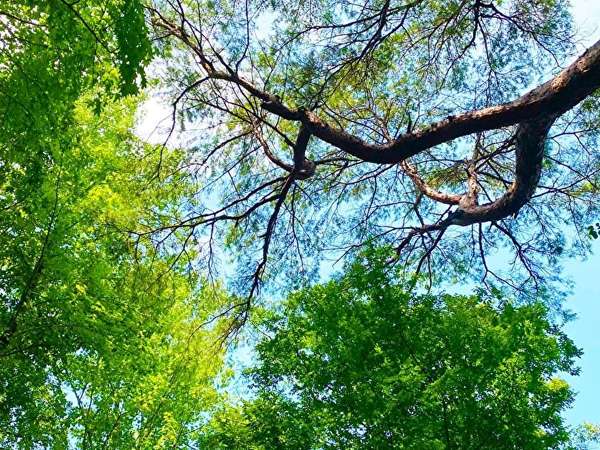船型複合遊具が大人気！家族連れで楽しめる「光綾公園」の魅力をご紹介の画像