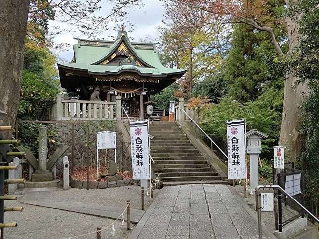 4月下旬～5月上旬は藤の花が見頃！源義経公をまつる「白旗神社」の魅力をご紹介