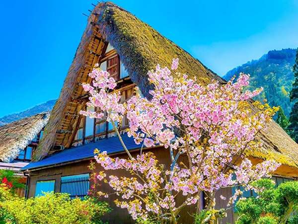 日本を代表する古民家の野外博物館の一つ「川崎市立日本民家園」をご紹介の画像