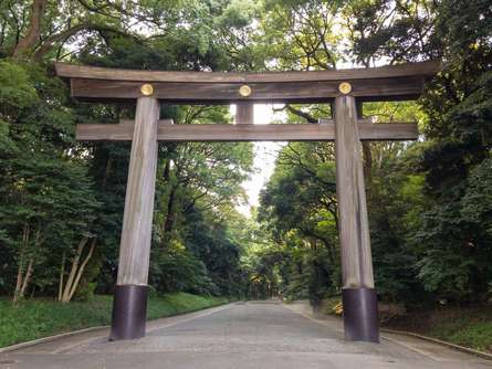 美しい花菖蒲は必見！ 国民に愛される「明治神宮」をご紹介！