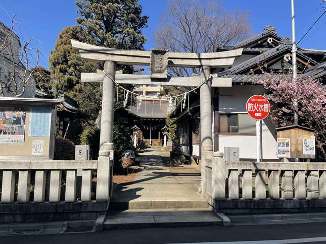 砧三峯神社の花手水が美しいです