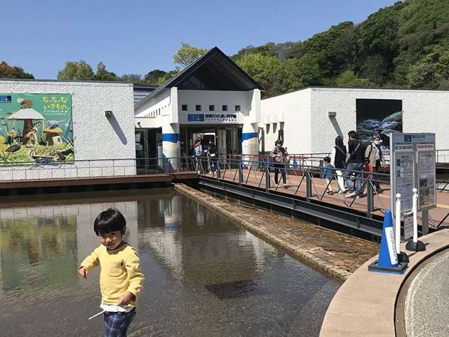 相模川の水族館