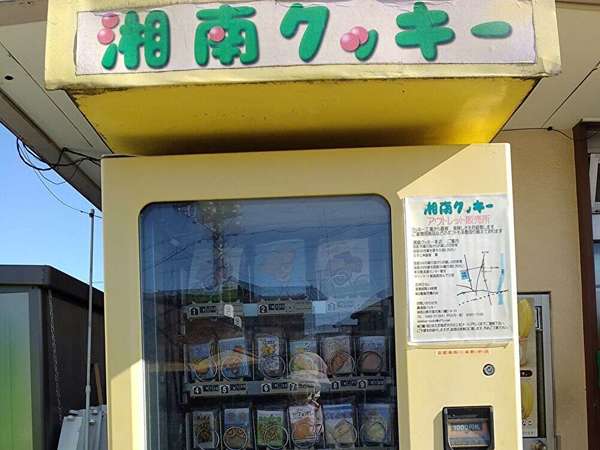 湘南クッキーはいかが？の画像