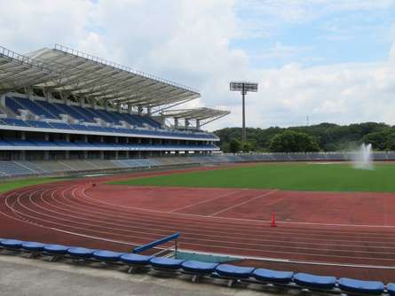 たくさんのバラに癒されよう！ 運動施設と自然の公園「野津田公園」