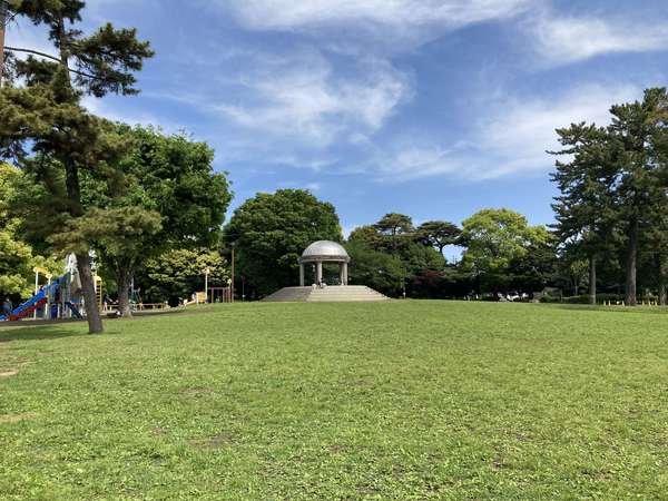 緑いっぱいの公園の画像