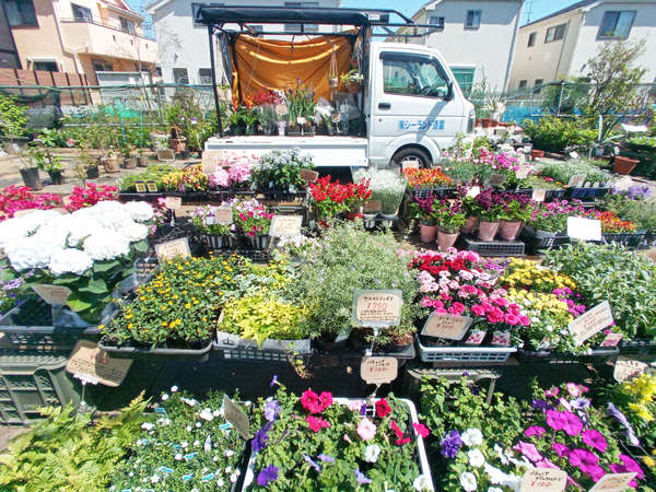 住宅街に忽然と現れる秘密の花園の画像