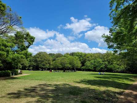 川崎唯一の県立公園！古代から続く自然の息吹を感じられる「県立東高根森林公園」