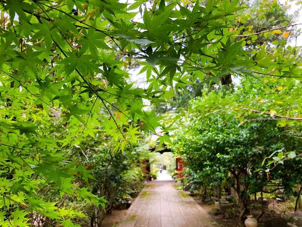 国や海老名市指定文化財の宝庫！奥深い歴史を感じられる「龍峰寺」の画像