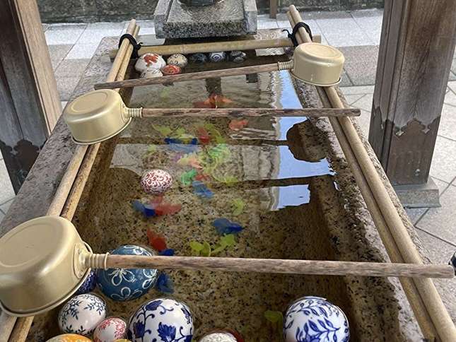 浄運寺の花手水が夏バージョンになってます!