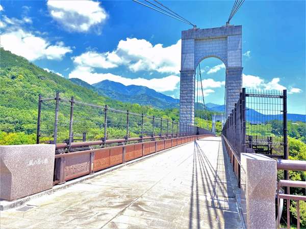 自然が溢れる公園内で川遊び！県立秦野戸川公園の画像