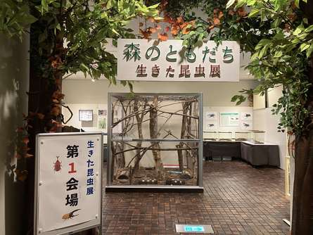 箱根 森のふれあい館の生きた昆虫展