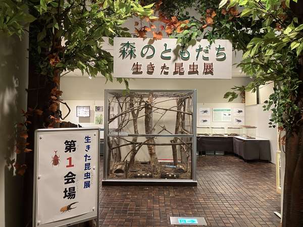 箱根 森のふれあい館の生きた昆虫展の画像