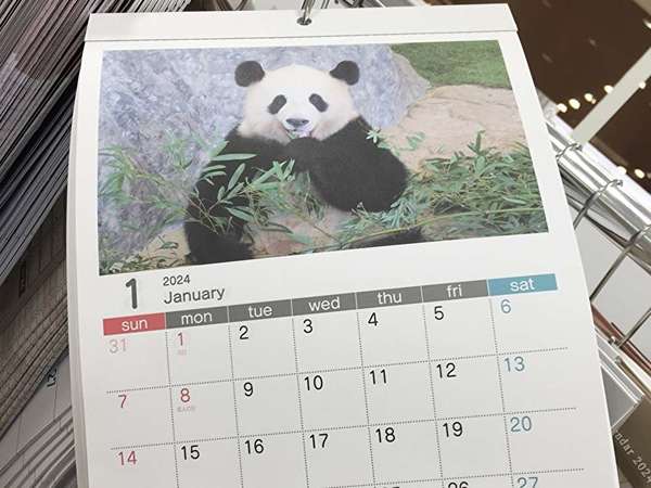 大型の100円ショップの画像