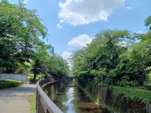 成城とTOHOスタジオの画像