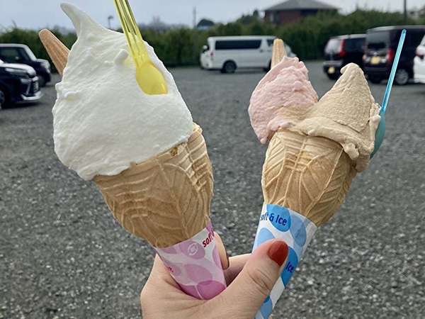 小田原で美味しいジェラートの画像