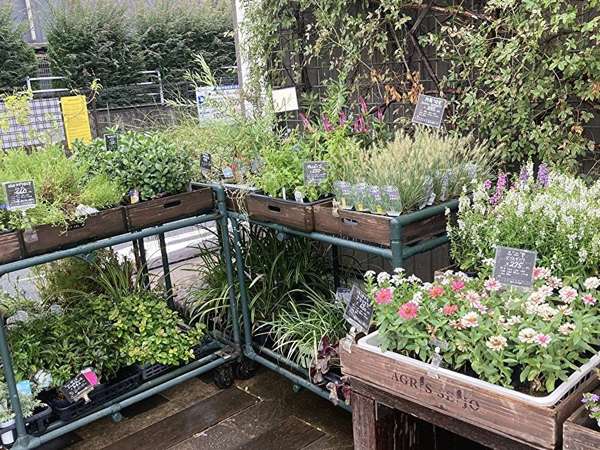 駅前のお花屋さんの画像