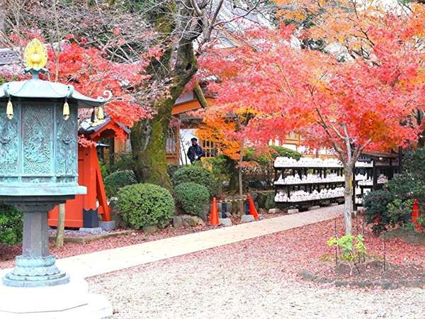 紅葉と招き猫に囲まれよう！古都の風情溢れる秋の「豪徳寺」の画像