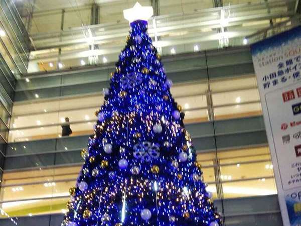 心もキラキラ、クリスマスイルミネーションの画像