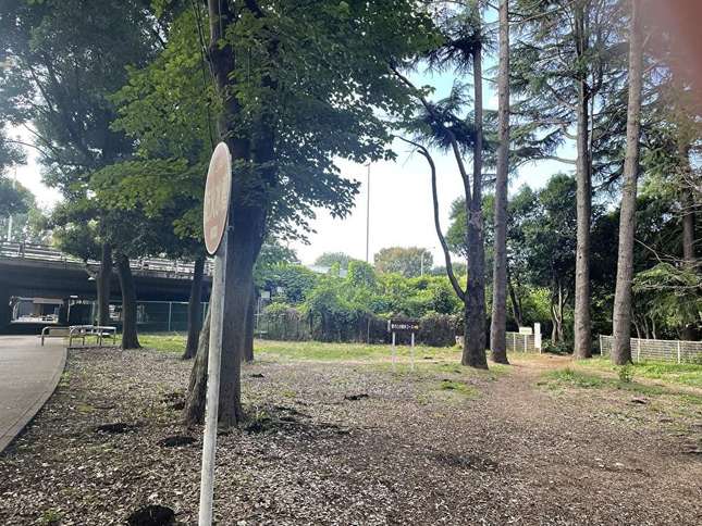 砧公園内、愛犬とのお散歩コースあります