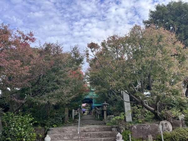 縁結び菩薩　花の寺　常泉寺の画像