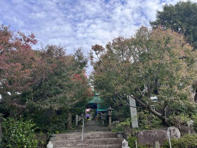 縁結び菩薩 花の寺 常泉寺