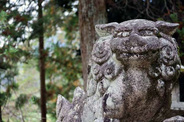 多くの人に愛される大神宮さんで「万事円満」を祈る！伊勢原大神宮の画像
